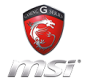 MSI